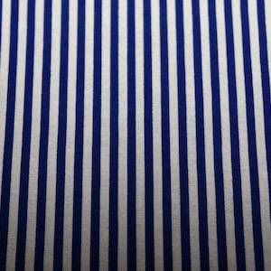 Blue with White Stripes Quilt Fabric