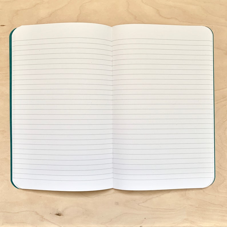 K&ouml;nnte beinhalten: Ein ge&ouml;ffnetes Notizbuch mit linierten Seiten und einem t&uuml;rkisfarbenen Einband.