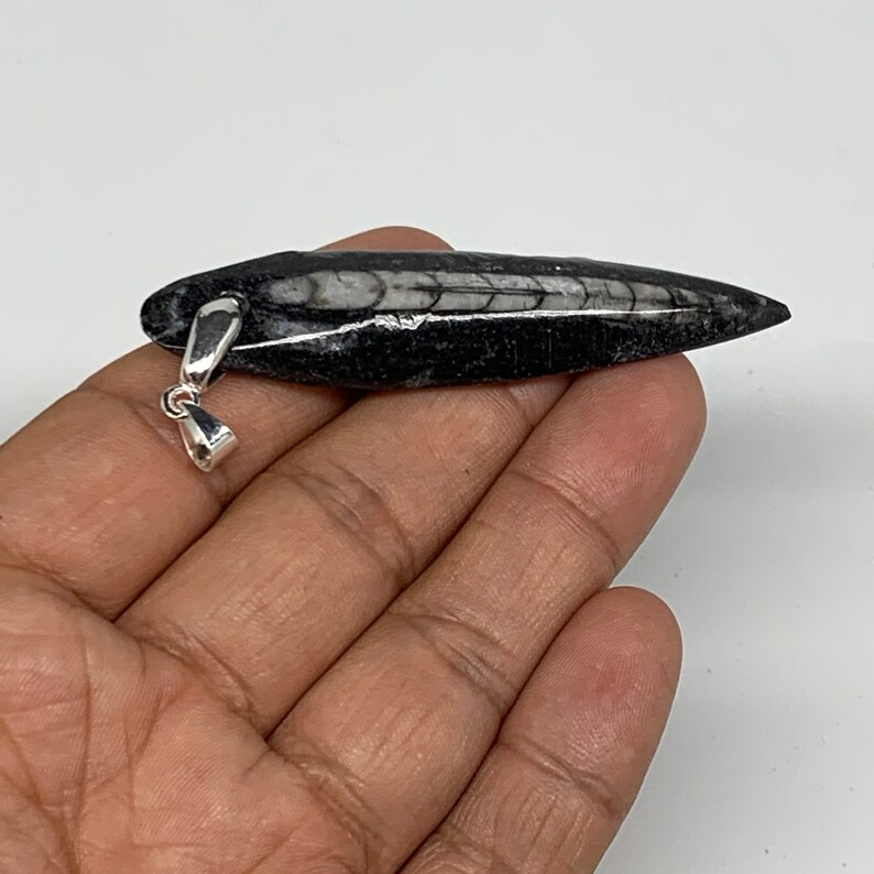 2.6 x 0.6 x 0.3 Black Orthoceras Fossils Pendant Polished Gemstones Marble Polished E0249 350 Millions years 10.8 Grams