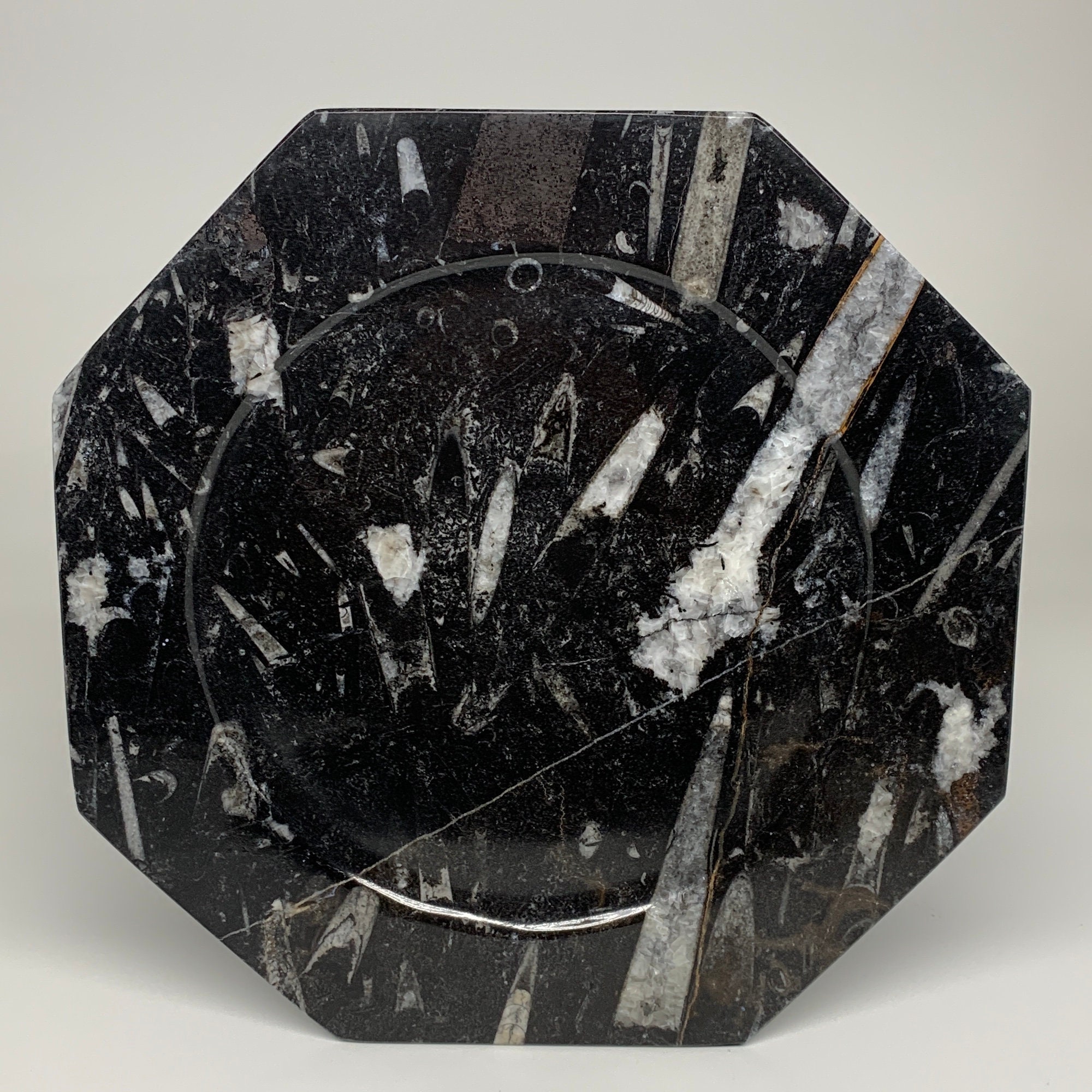 2 Pieces set, 12" Large Well Polished Octagon Shape Black Orthoceras Fossils Plates Dish Handmade, 1230 Grams - 1284 Grams Each