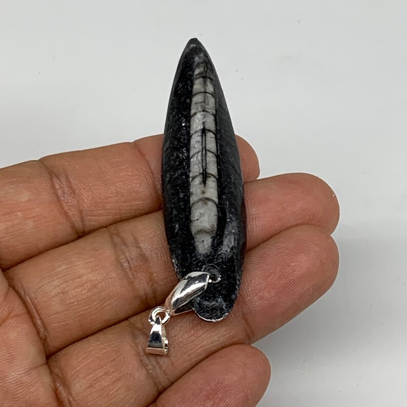 2.6 x 0.6 x 0.3 Black Orthoceras Fossils Pendant Polished Gemstones Marble Polished E0249 350 Millions years 10.8 Grams