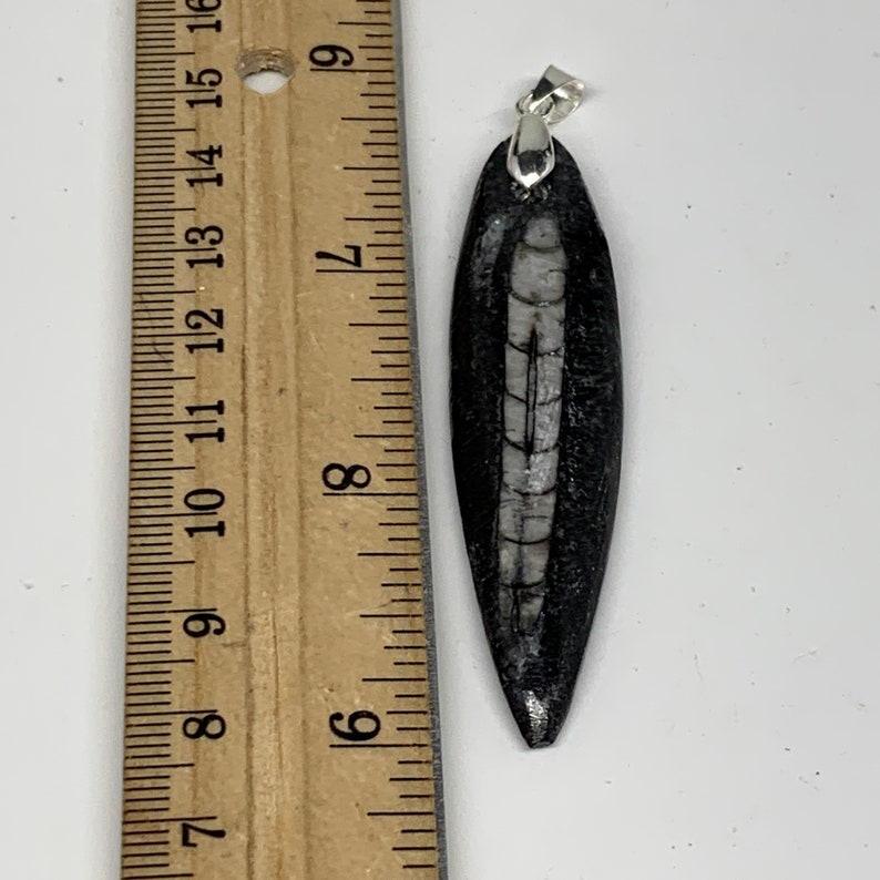 2.6 x 0.6 x 0.3 Black Orthoceras Fossils Pendant Polished Gemstones Marble Polished E0249 350 Millions years 10.8 Grams