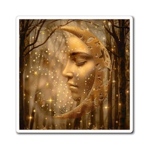 Magnets, Celestial Design Magnet, refrigerator magnet
