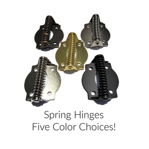 May include: Five spring hinges in different finishes: black, silver, brass, antique brass, and nickel.  Spring hinges are used for cabinet doors, lids, and other applications.