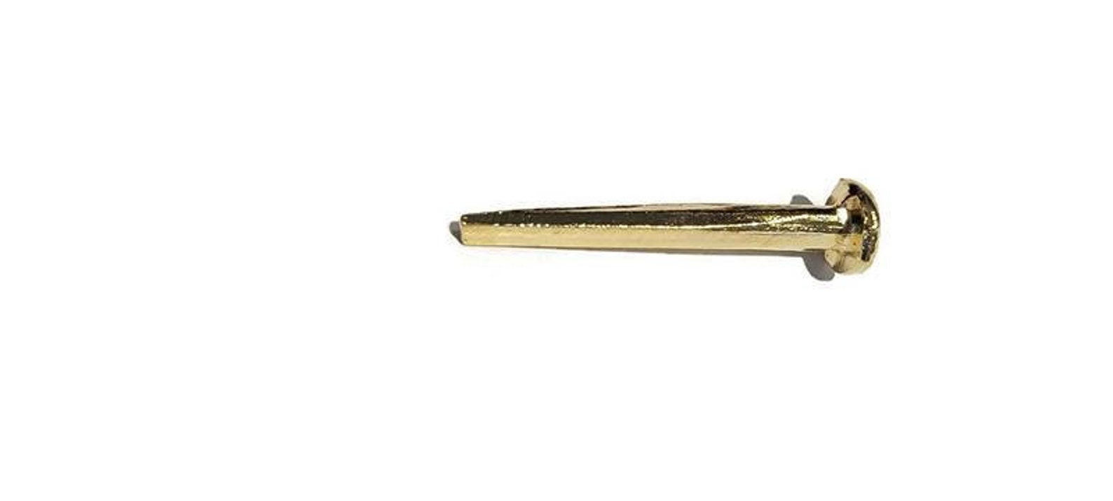 Trunk Nails Brass Plated Steel 1 Decorative Nails Etsy