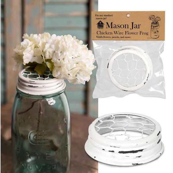 Mason Jar Frog Lid Etsy