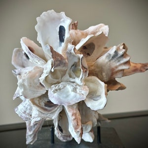 Oyster Shell Sphere