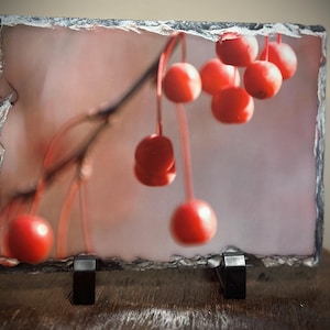 Photograph on Slate