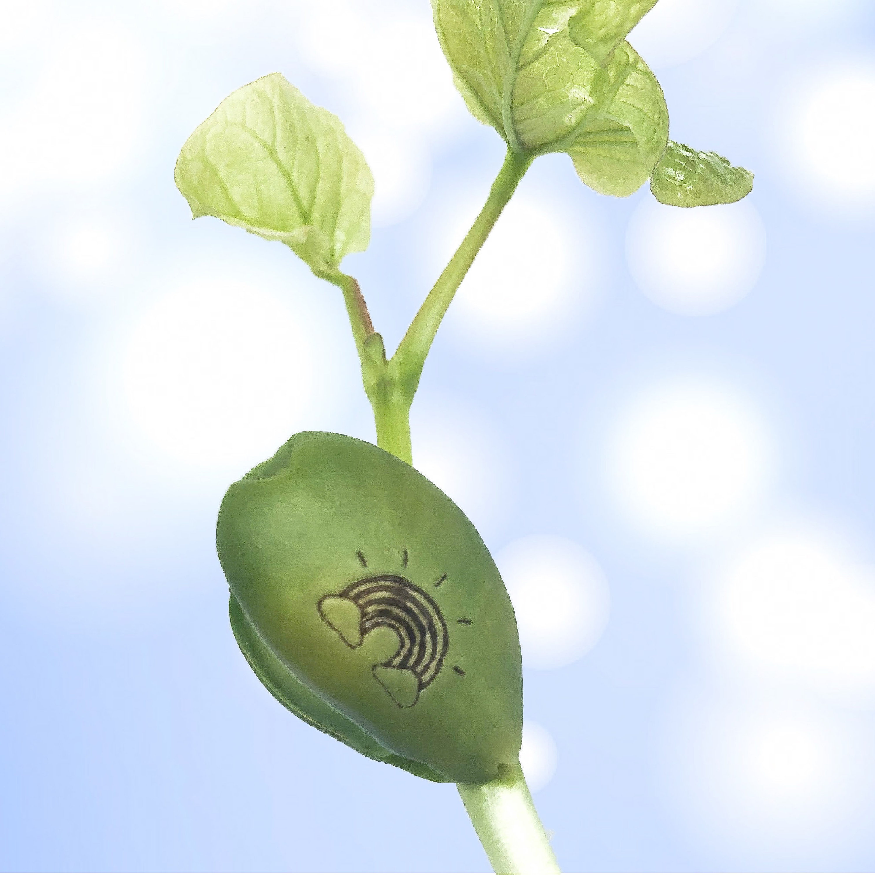 motivational-greetings-card-encouragement-card-inspirational-etsy-uk