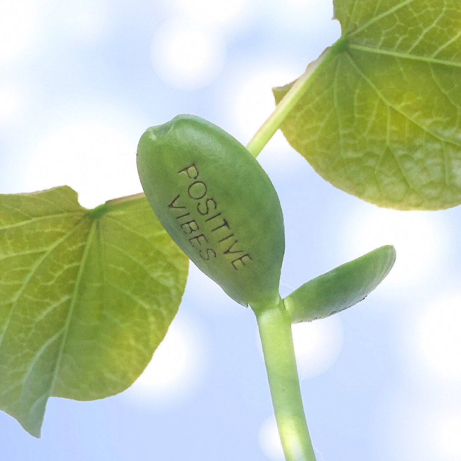 motivational-greetings-card-encouragement-card-inspirational-etsy-uk