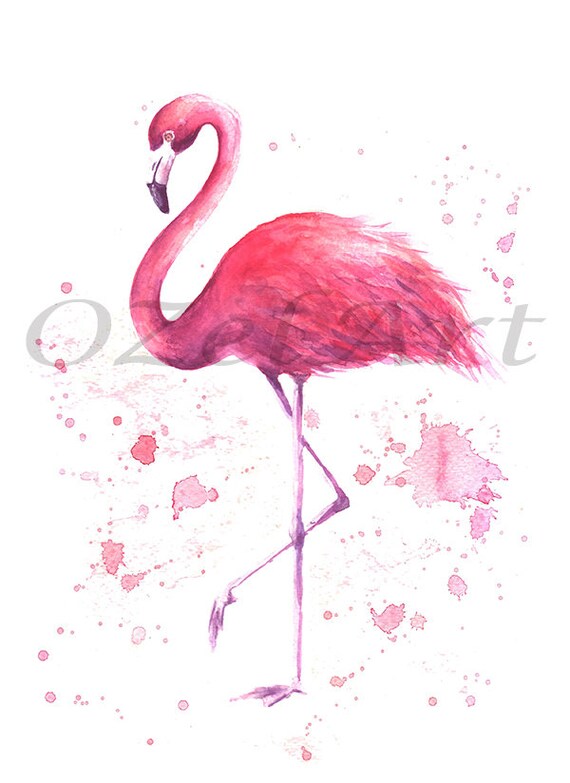 watercolor art tropical bird wall decor Flamingo print pink bird painting watercolor bird print girls room printable art