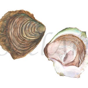 Oyster Watercolor Painting Digital Download Art Still Life Printable Art DIGITAL Illustration Home Wall Decor Кitchen Restaurant Print Gift