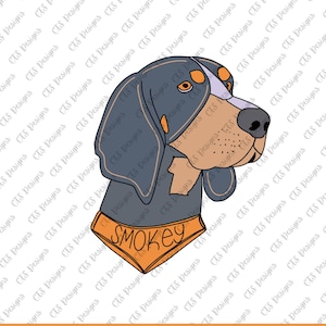 Smokey Tennessee handgetekende png | TN | Leuk tn-ontwerp | Home Sweet Home voor mij | Tennessee-sublimatie | Tennessee-meisje | Tenn-png | Hondenhond