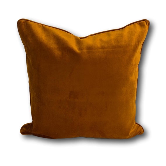Burnt orange velvet cushions hotsell