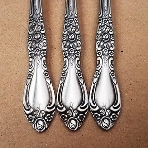 Northland Carolina Banbury Flatware, Vintage Oneida Floral Stainless, Kitchen Dining, Replacements, Home Decor, Silverware Jewelry, Gift