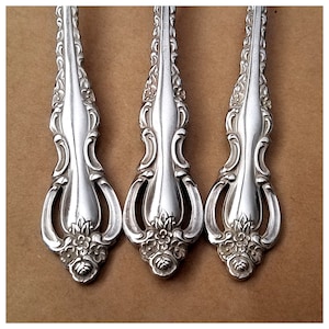 Vintage Countess Silverplate Flatware: Floral Deepsilver Silverware, 1969