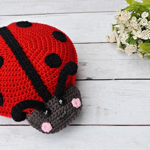 May include: A red crocheted ladybug with black spots and a gray face. The ladybug is sitting on a white wooden surface.