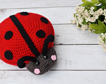 Coccinelle Amigurumi peluche, motif au crochet Kawaii câlin, poupée de chiffon PDF en téléchargement numérique