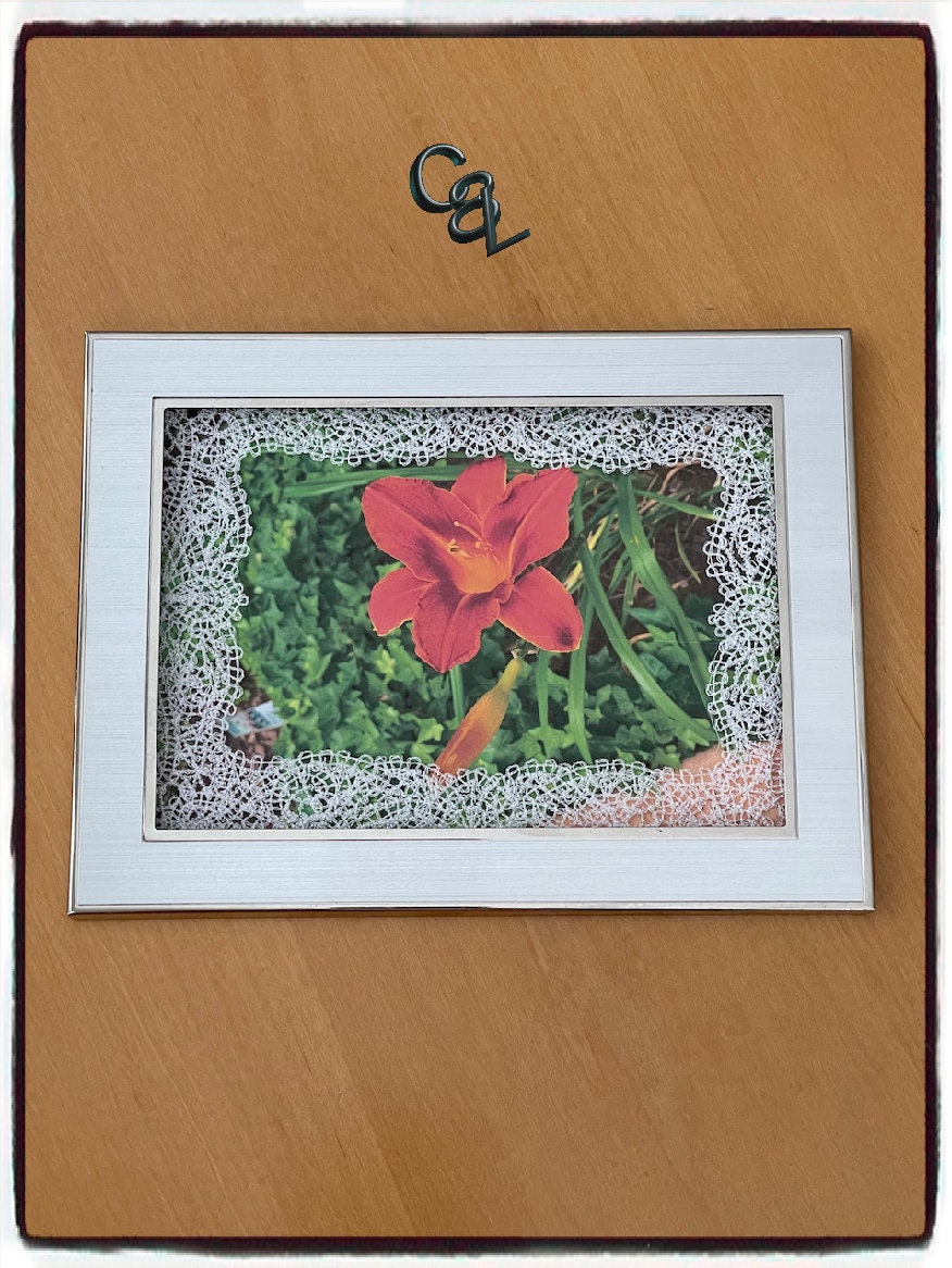 Crochet Small Tiny Butterfly Applique Embellishment 18 Pcs Mix Cardmaking