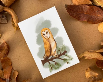 Winter Barn Owl - Postcard Print