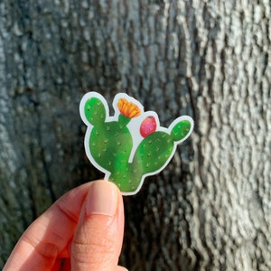 Pegatina de vinilo transparente de cactus de pera espinosa