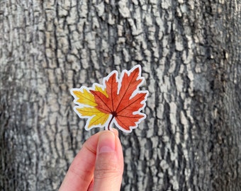 Autumn Leaves Illustrated Clear Vinyl Sticker