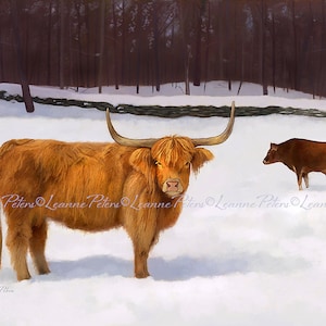 Scottish Highland Cattle Print, Highland Cow Art, Winter Animal Scene Print, Cow Print