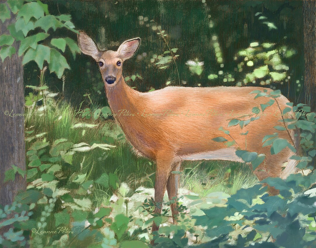 Deer Print, Doe Art, Summer Woodland Print - Etsy