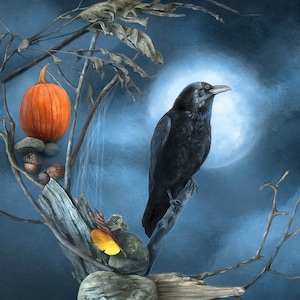 Cartão postal Raven, cartão postal de Halloween, cartão postal de bruxa de lua cheia, cartão postal de abóbora