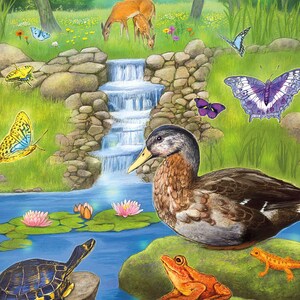 Hirsch und Rehkitz Kunst Postkarte, Enten Schmetterlinge Postkarte, Schildkröte Frosch Salamader Postkarte, Seerose Wasserfall Kunst Postkarte
