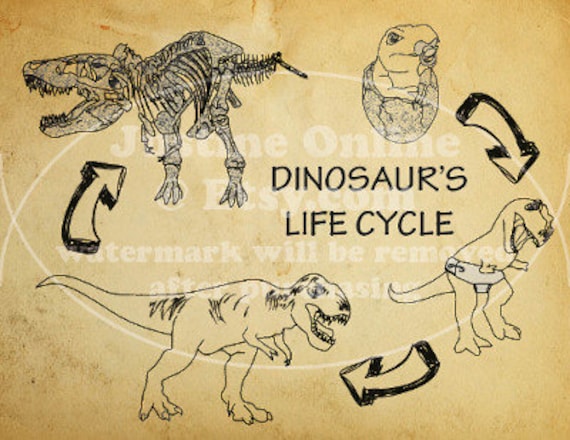 Items similar to Dinosaur T-Rex Life Cycle *DIGITAL DOWNLOAD* Printable ...