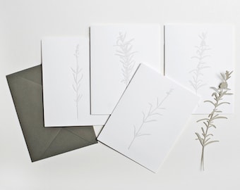 Illustrated Herbs Notecards | set of 4