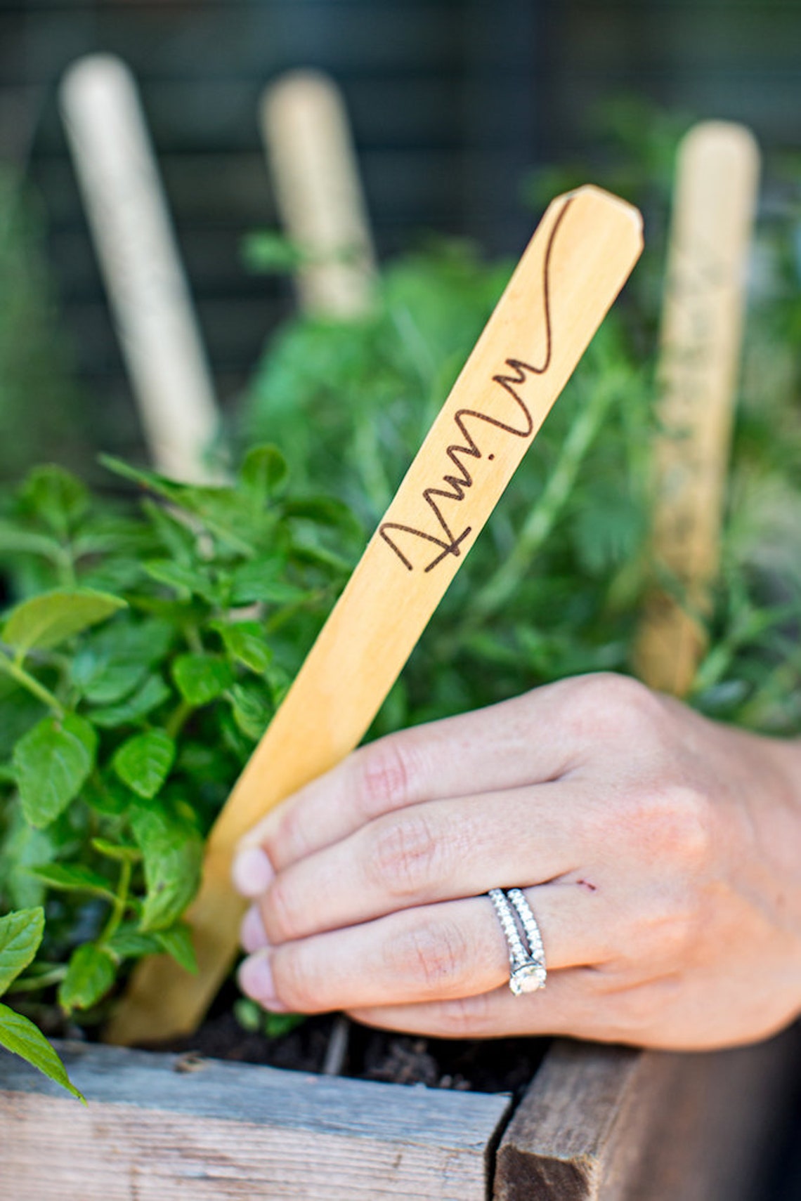 Herb Garden Markers Etsy