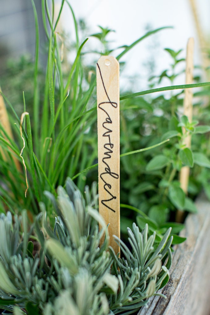 Herb Garden Markers | Etsy