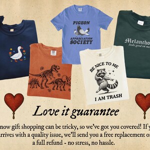 The image is a collage of six t-shirts with various designs and text, including a blue t-shirt with a duck, a blue t-shirt with a pigeon, a white t-shirt with a raccoon, a white t-shirt with a raccoon, a white t-shirt with a raccoon, and a green t-shirt with a raccoon. The text on the t-shirts includes phrases like "Pigeon Appreciation Society", "Be nice to me", and "I am trash".