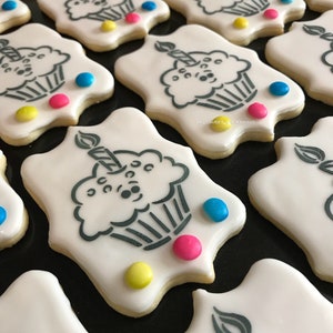 Paint your own Birthday Cookie - PYO Cookie - Birthday cookie - 12 Cookies