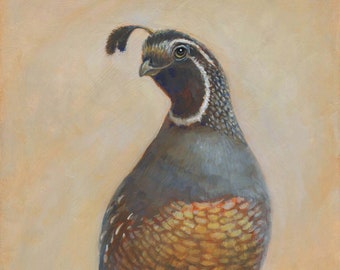 California Quail Art Print: Happy Bird Portrait from Original Oil Painting