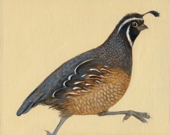 Quail Art Print, Original Quail Art, Bird Watcher Gift, Running Quail Painting, Bird Painting, Bird Decor, Decor for Office, Running Bird