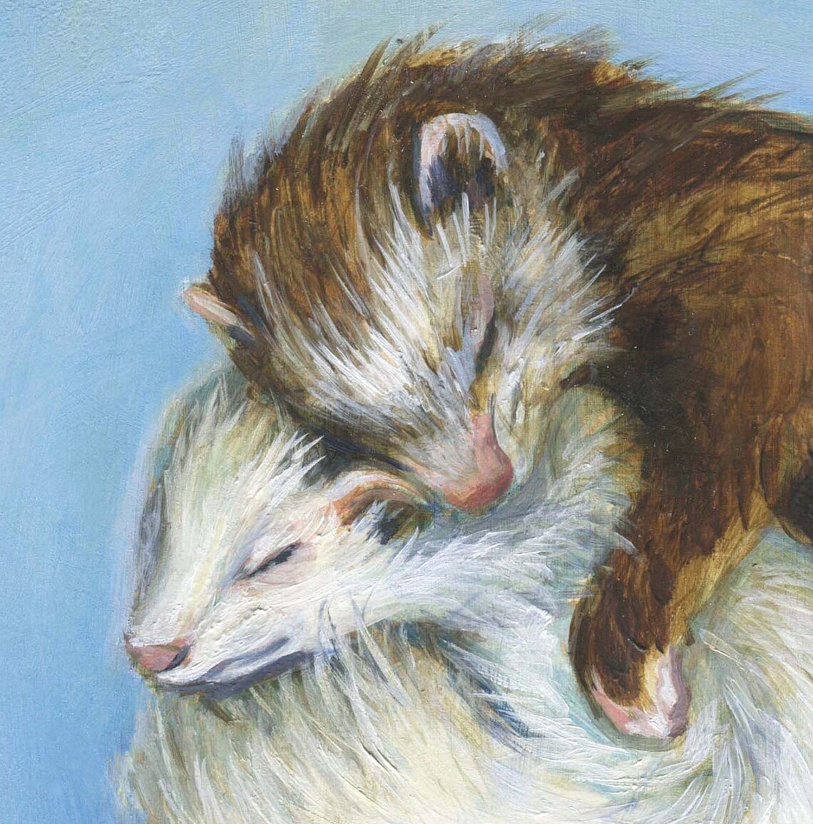 Ferret Cuddle Print, Sweet Print of Two Sleeping Ferrets Cuddled ...