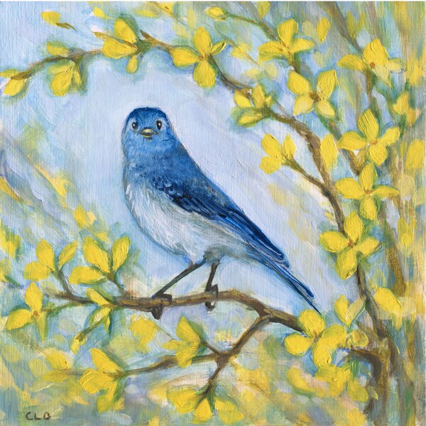 Lovely small songbird print featuring a bluebird resting in a forsythia bush. This small size fits in almost any room. Perfect in a cubicle