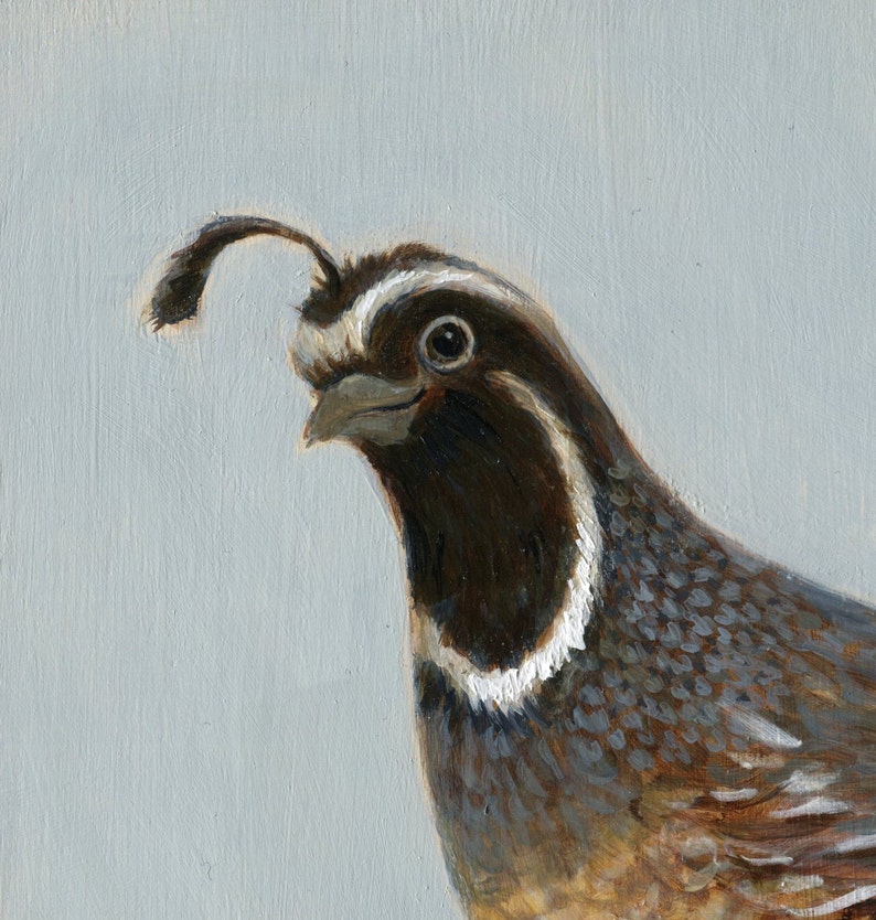 Quail Art Print, Original Quail Art, Bird Lover Decor, Peaceful Quail