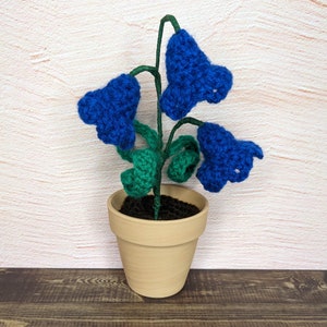 May include: A crocheted blue flower plant in a terracotta pot. The plant has green leaves and blue flowers.