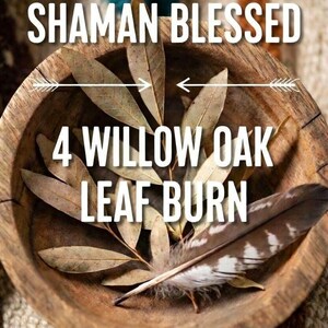 May include: A wooden bowl filled with dried willow oak leaves and a feather. The text "SHAMAN BLESSED" and "4 WILLOW OAK LEAF BURN" is displayed in white. The bowl is set on a patterned textile.