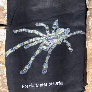 Poecilotheria Striata Embroidered T-shirts / 100% Cotton / Tarantula Clothing / Spider Art / Mysore Ornamental image 6