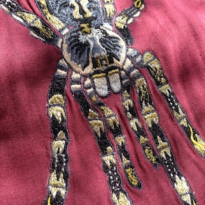 Poecilotheria Subfusca Embroidered T-shirts /  100% Cotton / Tarantula Clothing / Spider Art / Ivory Ornamental