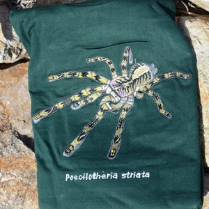 Poecilotheria Striata Embroidered T-shirts / 100% Cotton / Tarantula Clothing / Spider Art / Mysore Ornamental image 4