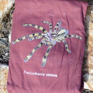 Poecilotheria Striata Embroidered T-shirts / 100% Cotton / Tarantula Clothing / Spider Art / Mysore Ornamental image 3