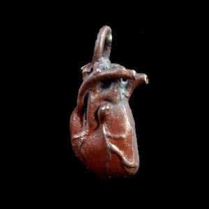 Anatomical Shibuichi Heart Pendant by Robert Burkett /Valentines Day / Gift / Lovers / Her / Him / Steampunk / Friendship / Cardiac image 1