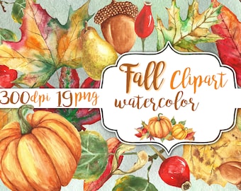 Fall clipart watercolor. Autumn clip art instant download. Pumpkin watercolor. Fall wreath watercolor. Thanksgiving slipart. Fruit basket.