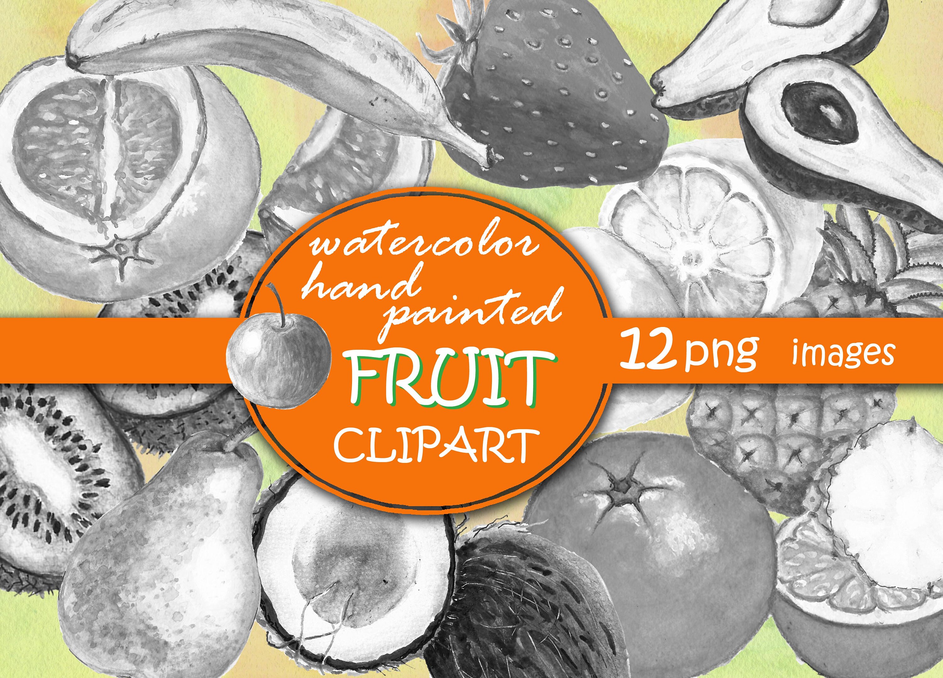 Watercolor Fruit Clipart. Food Hand Painted Cliaprt. Fruits Clip Art ...